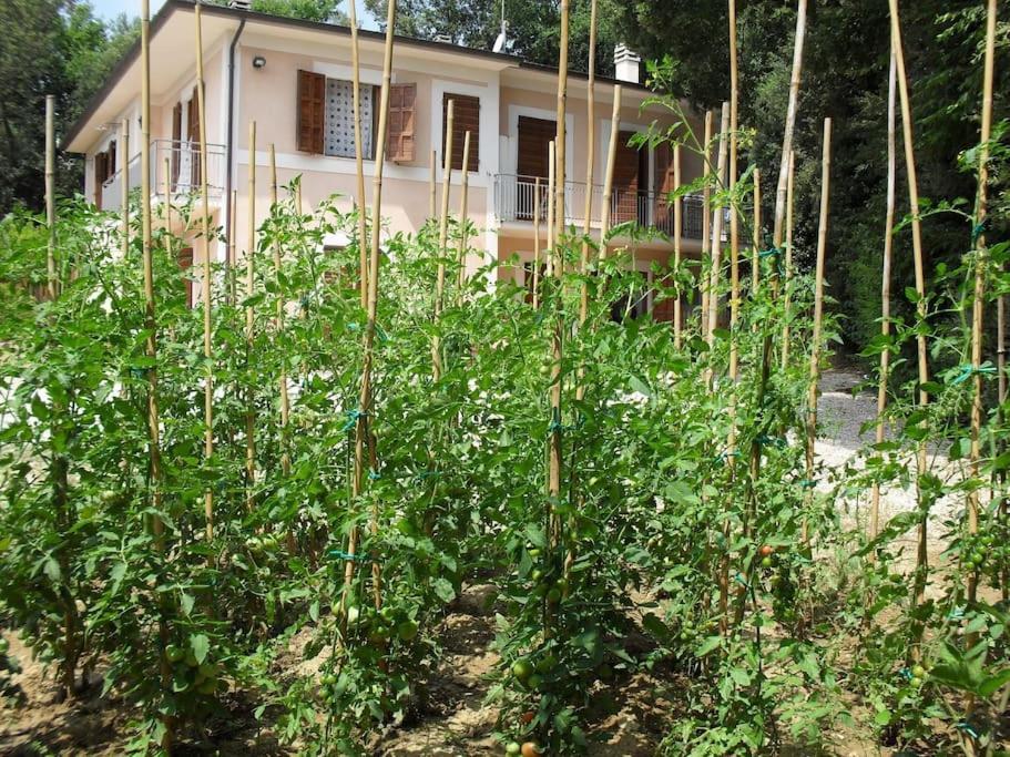 Apartment In Nature,10Min From City 페루자 외부 사진